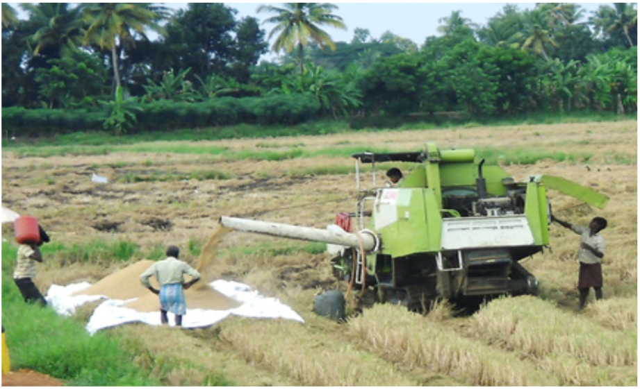 New Asia Research Brief Examines the Management of Wetland Regions in Kerala, India